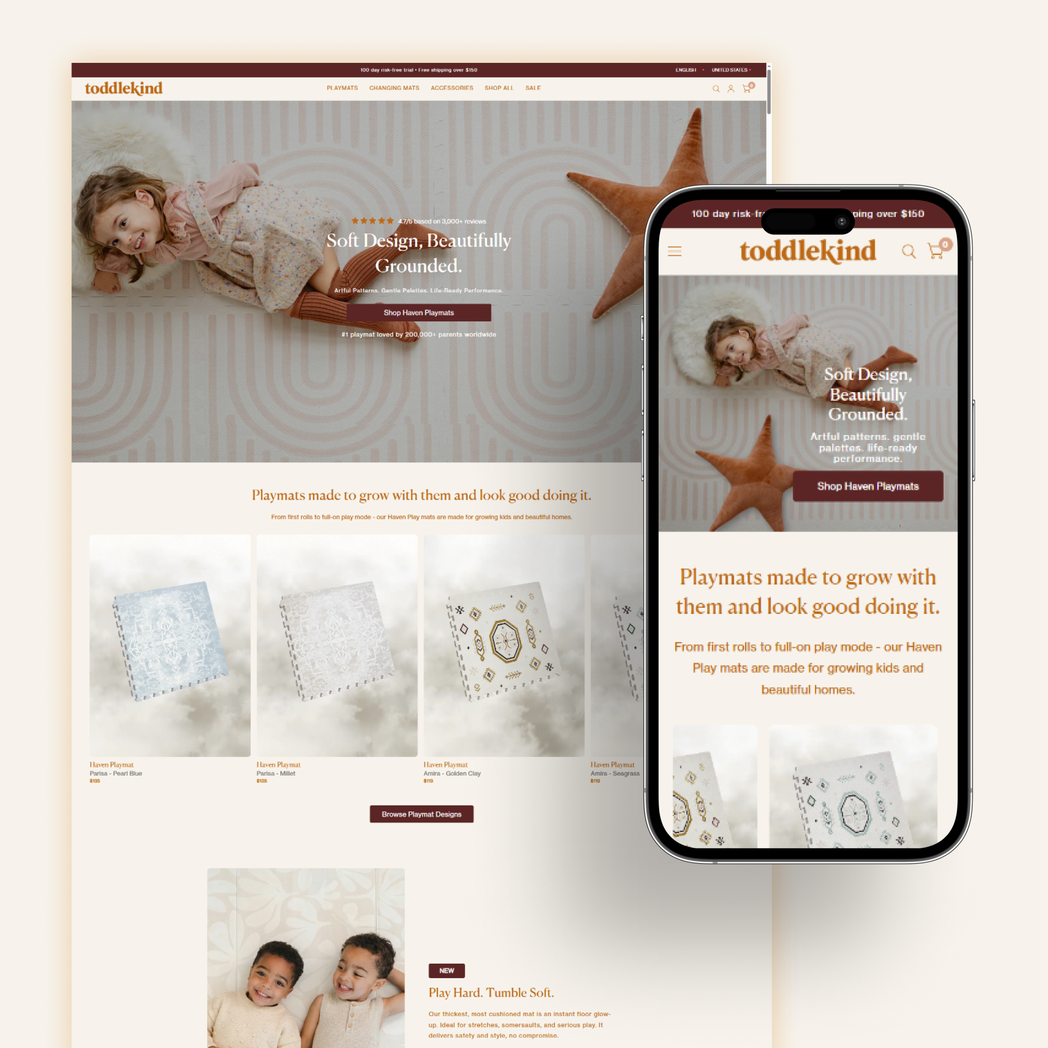 shopify store developer in pakistan