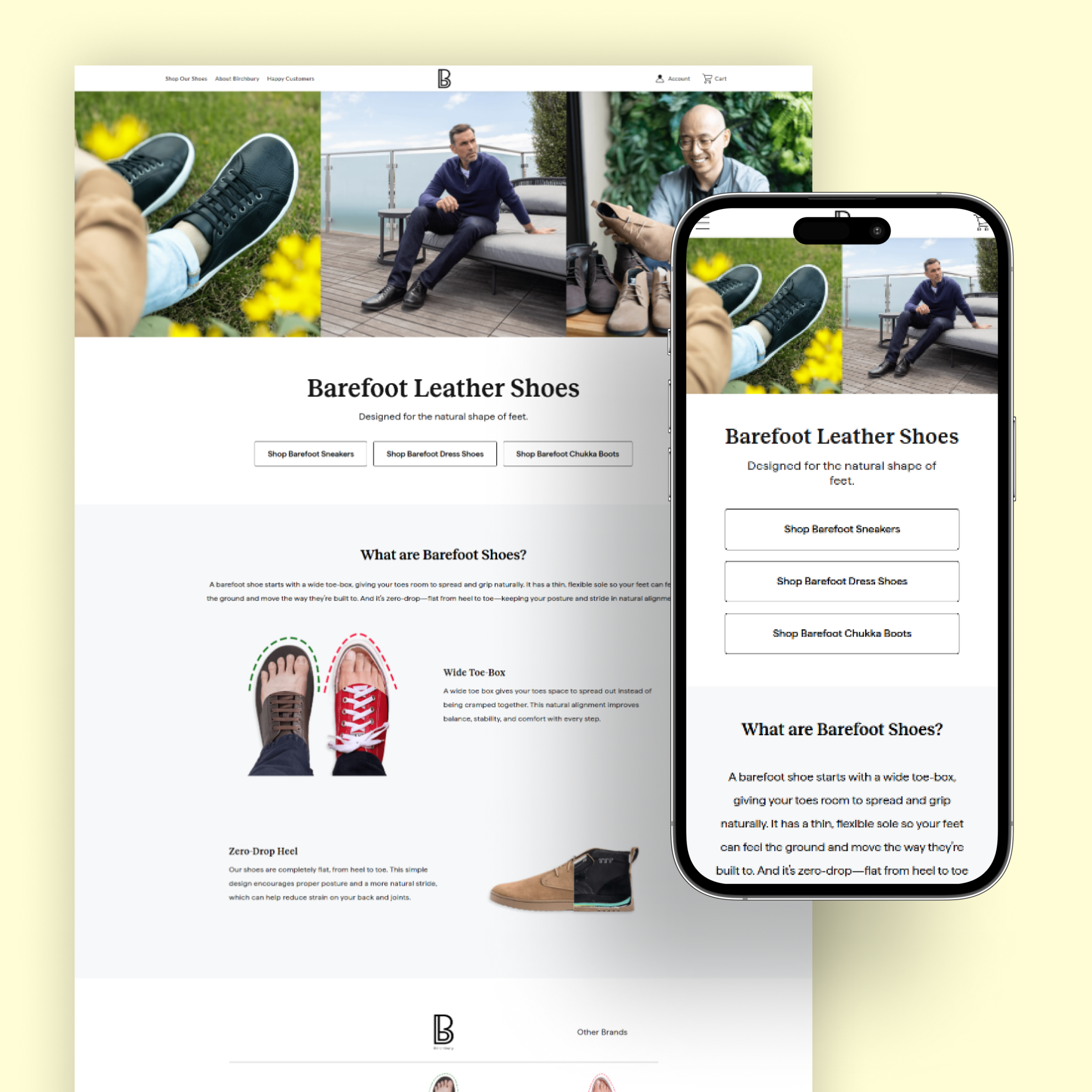 shopify store developer in pakistan
